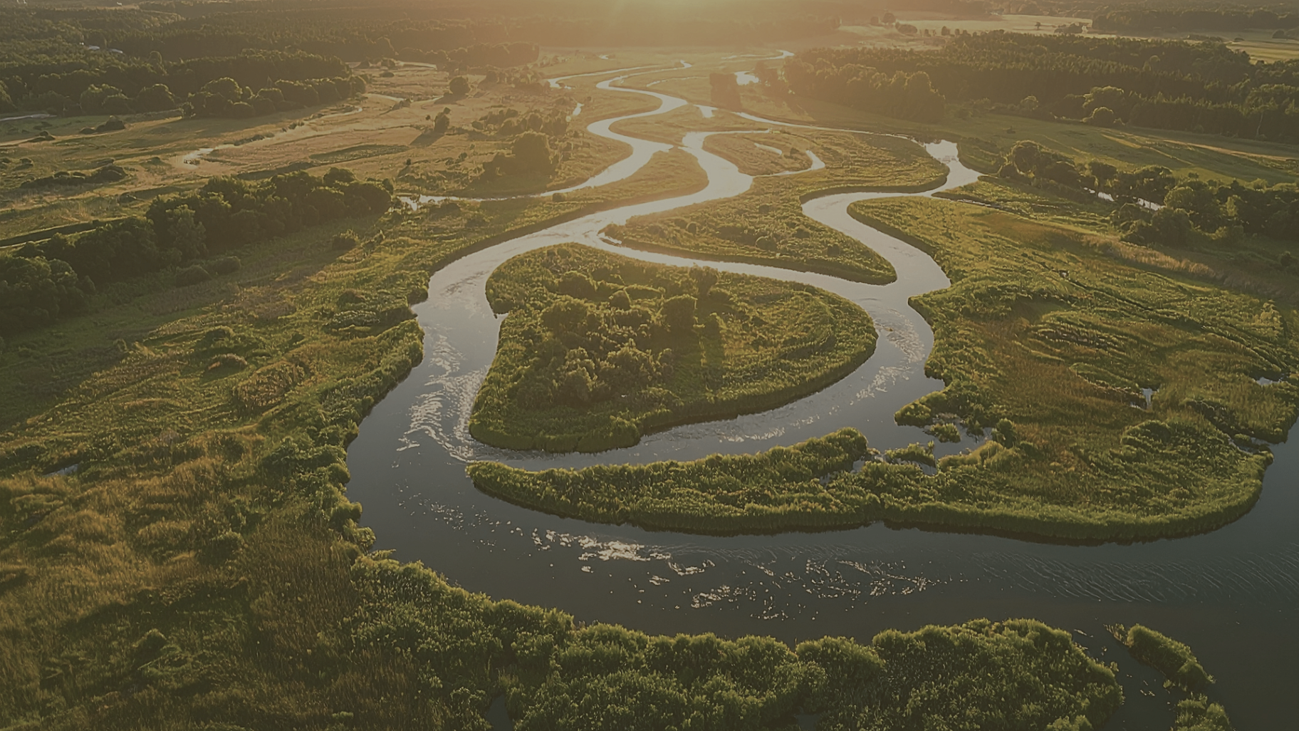 Aerial view of a forest lake at golden hour, atmospheric Nordic landscape
